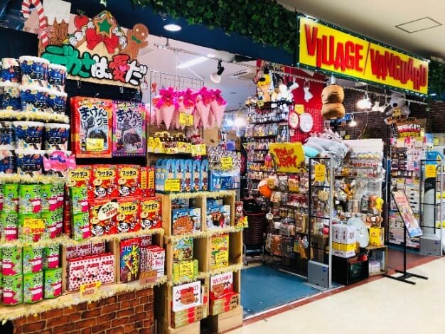 ヴィレッジヴァンガード イオン豊橋南SC店（Village Vanguard  AEON Toyohashi Minami SC 빌리지 뱅가드 Village Vanguard ）の店舗外観